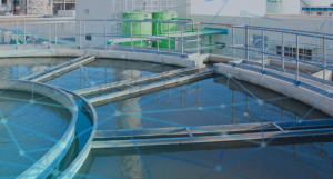 Integration vs fragmentation AMP8